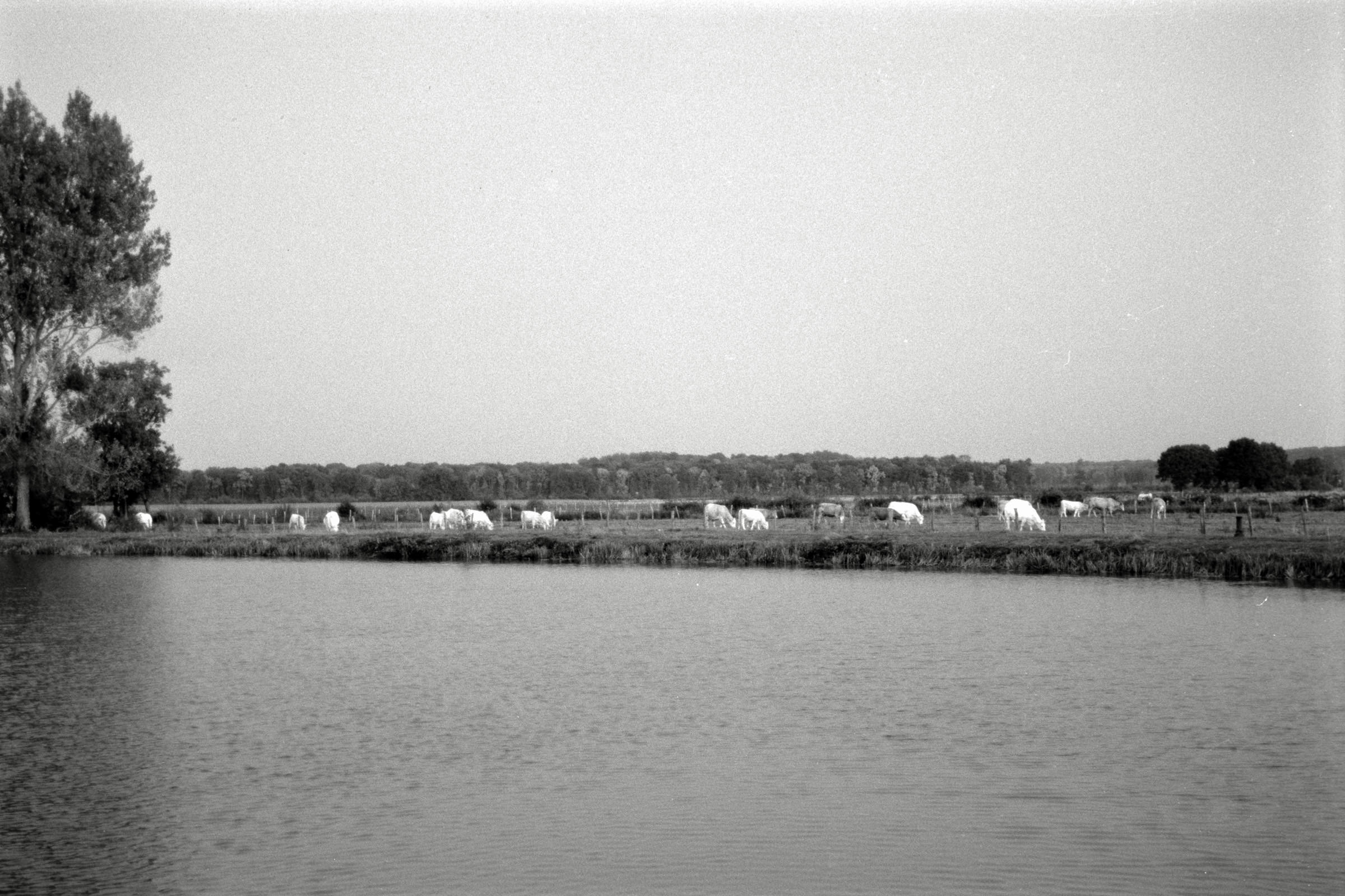 AHP F1990 09 004 sc250506 img20 NLP